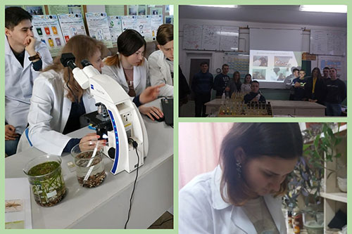 Збільшити зображення